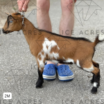 ICE ACRES BB OPULENCE 2M 06.2025