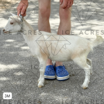 URBAN ACRES THB ARIEL 3M 06.2025