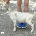 URBAN ACRES THB MERIDA 3M 06.2025