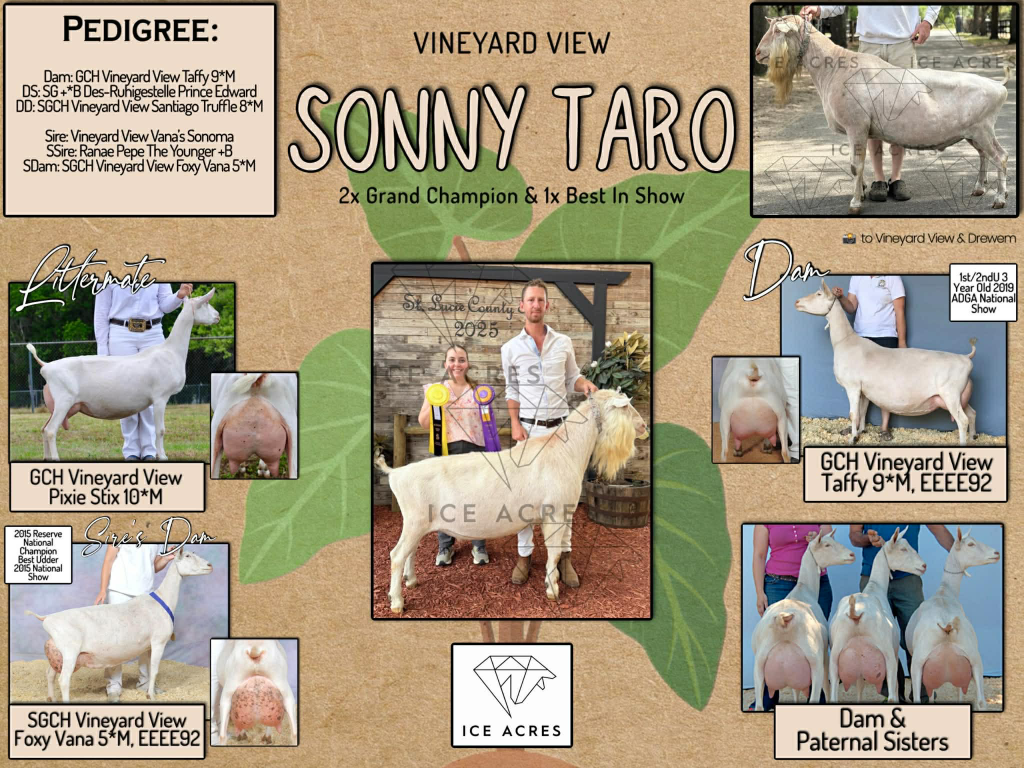 VINEYARD VIEW SONNY TARO SEMEN SALE AD