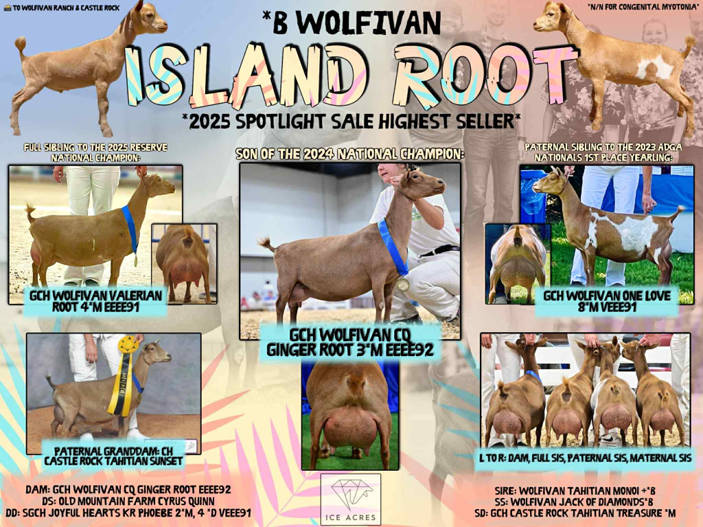 WOLFIVAN ISLAND ROOT SEMEN SALE AD